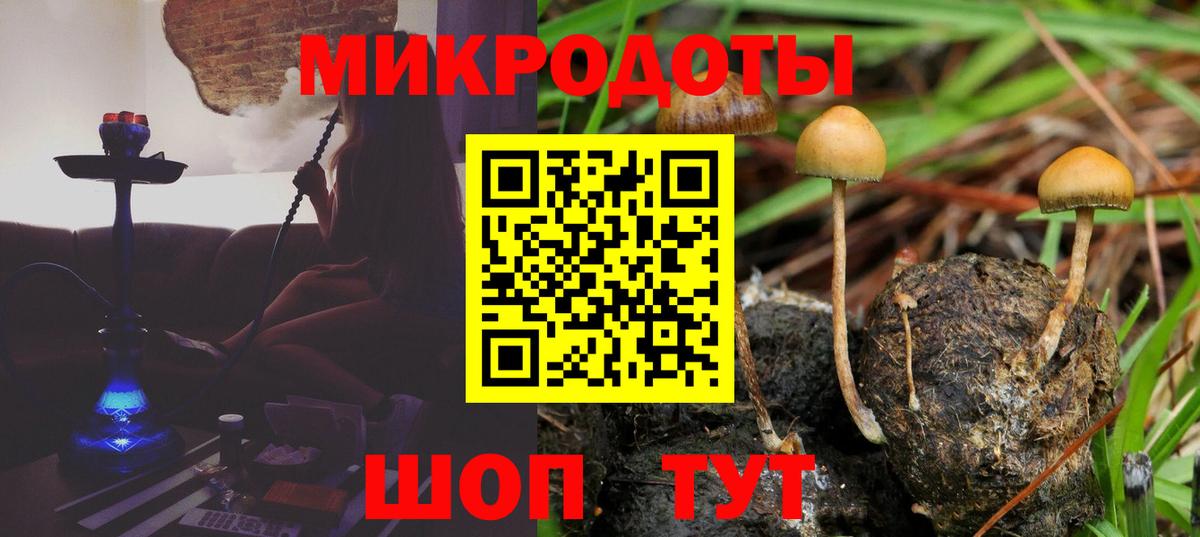 Псилоцибиновые грибы ЛСД Павловский Посад